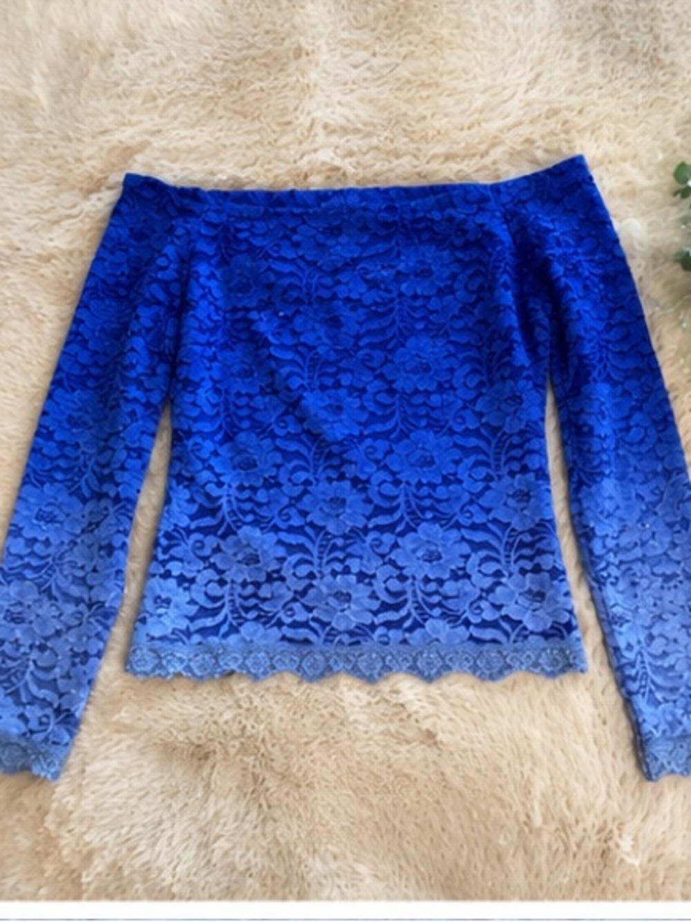 VENUS Royal Blue Ombré Lace Off-Shoulder Top